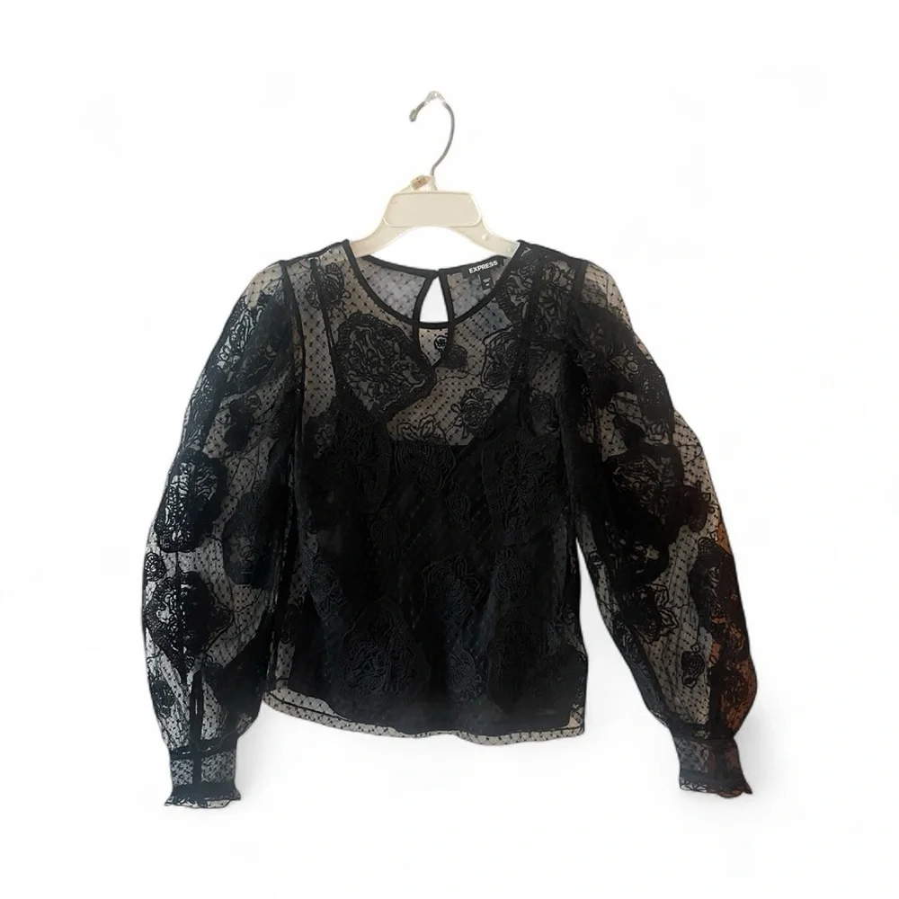 Express Lace Sheer Embroidered Blouse XS Black Long Sleeve Dressy Top - Picture 3 of 5